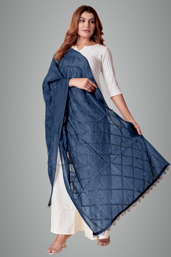 Chanderi Box Sequin Festive Dupatta For Women