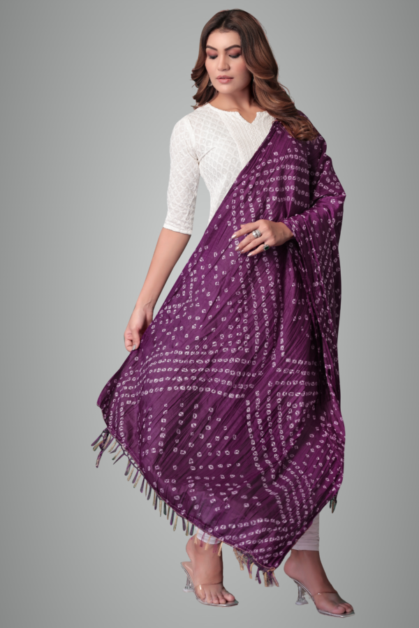 Heritage Charm Dupatta For Women