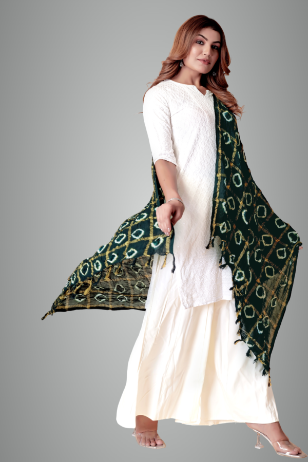 Cotton Checkered Everyday Dupatta For Women