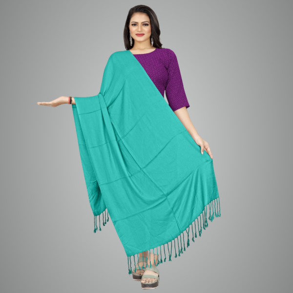 Aqua Elegant Drape Premium Stole For Women
