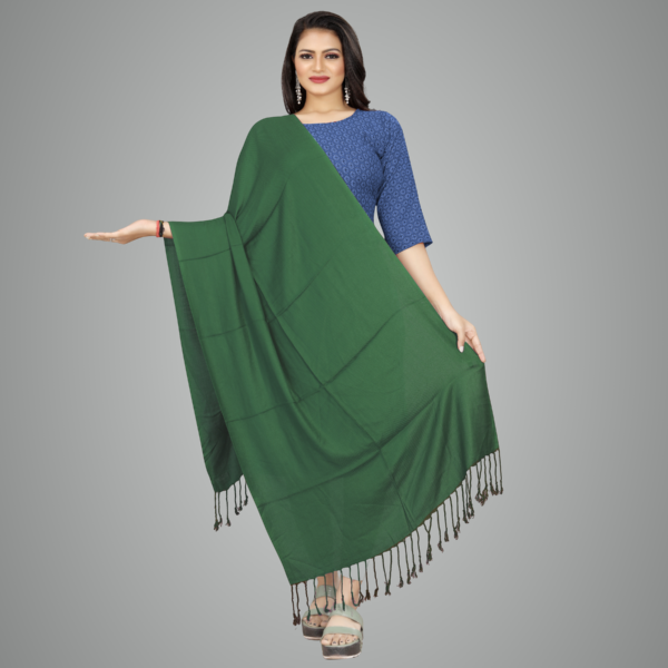 Green Elegant Drape Premium Stole For Women