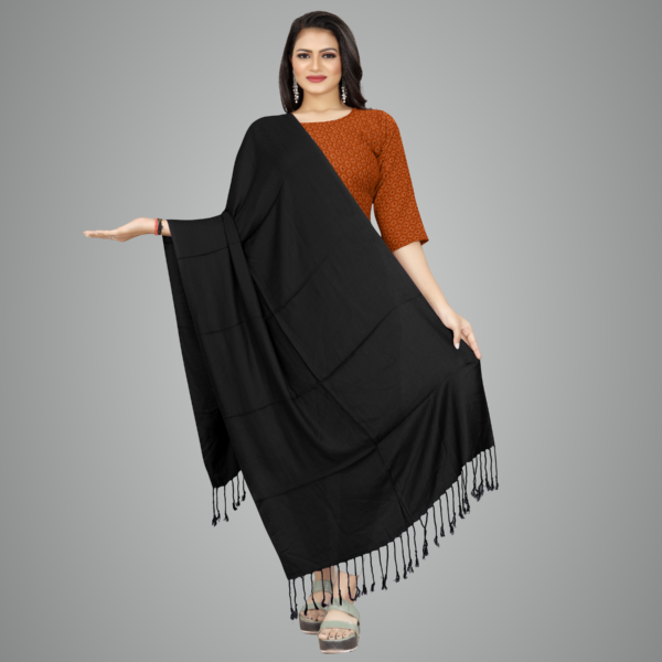 Black Elegant Drape Premium Stole For Women