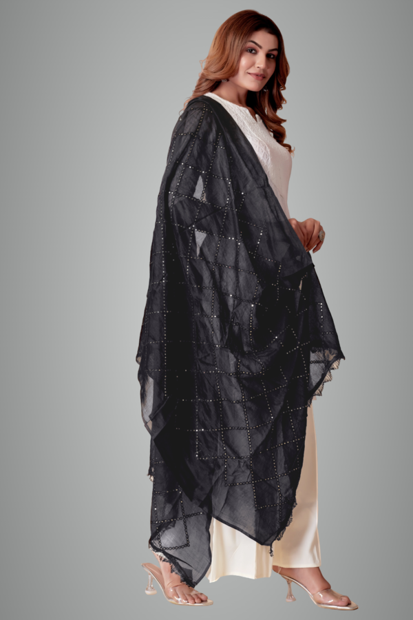 Chanderi Box Sequin Festive Dupatta For Women