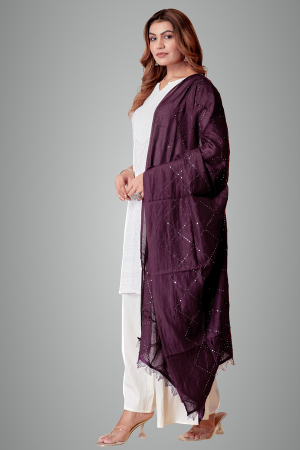 Chanderi Box Sequin Festive Dupatta For Women
